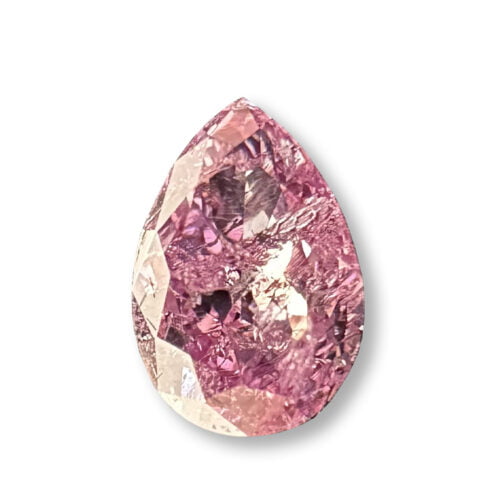 Pear1 IX19